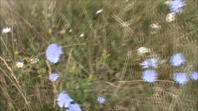 Лебяжское городище р.Вятка (путешествия по Кировской области) смотреть онлайн