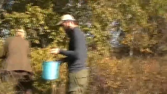 За ягодой-корендой приехали и нашли её досыта. 20. 09. 2020 смотреть онлайн