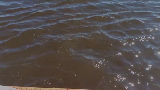 Учимся отпускать мелкую рыбку смотреть онлайн
