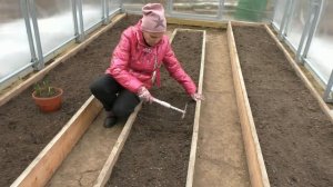 Что посеять в апреле в теплицу?