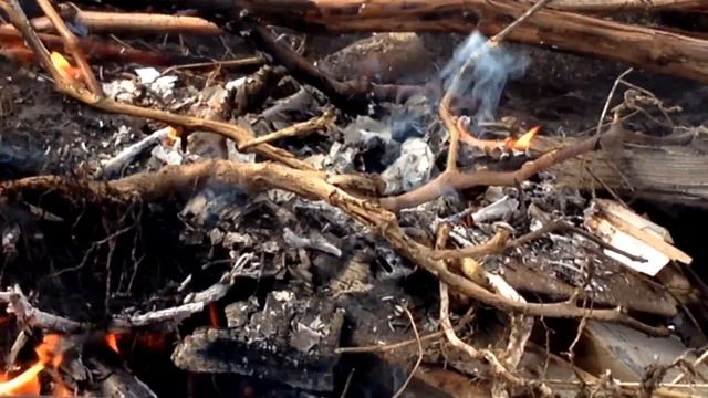 дачный влог смотреть онлайн