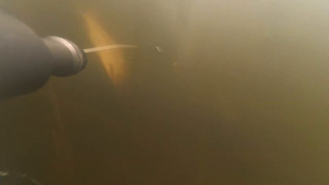 Подводная охота на сазана и сома смотреть онлайн