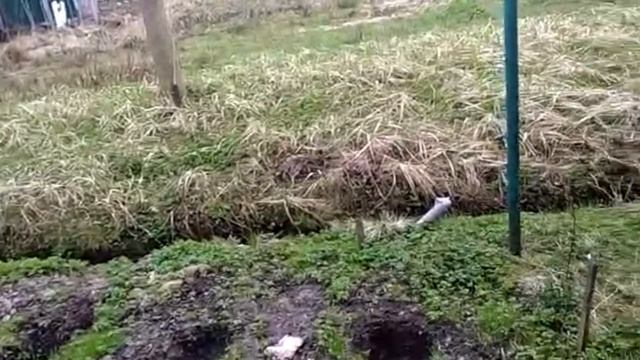 Септик Ital  отзыв спустя 2 года