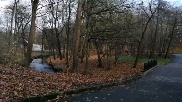 Осеннее настроение. Центральный парк Калининграда.