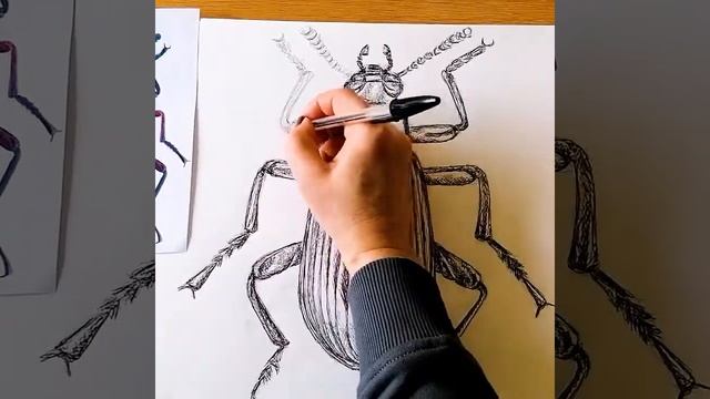 Four Step Scarab Beetle Drawing and Painting смотреть онлайн