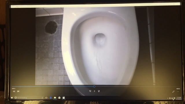 410: Eljer sink and auburn girls restroom (Samsung PL20 shoot) смотреть онлайн