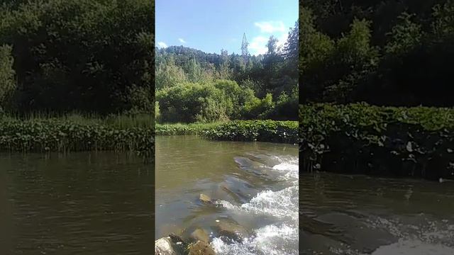 Сирах 15 глава смотреть онлайн