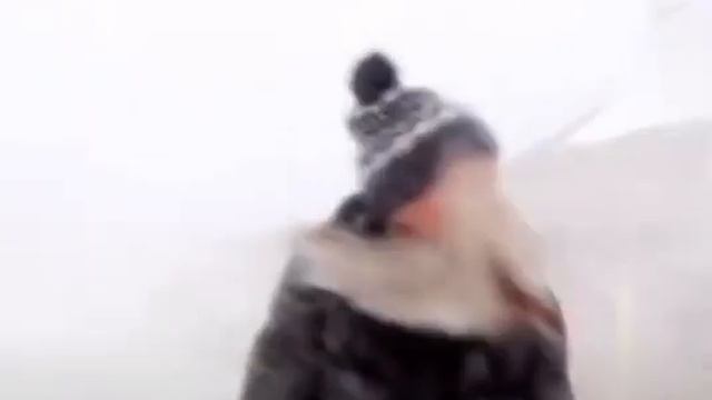 German engineering #funny #memes #meme #subscribe смотреть онлайн