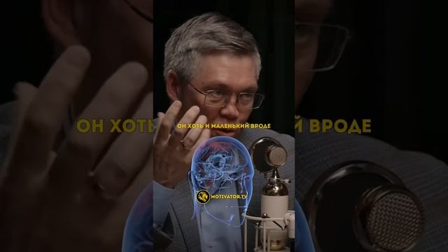 «Движение влияет на мозг» // МОТИВАТОР ( #мотивация #саморазвитие #успех ) смотреть онлайн