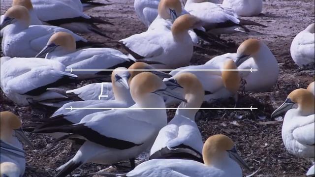 Одумайся, сохрани природу! смотреть онлайн