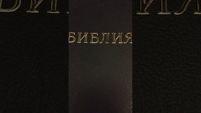 Важно делать то , что Бог говорит… смотреть онлайн