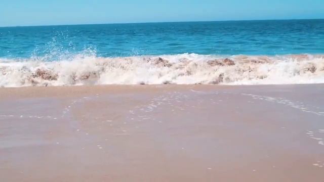 Kimbra, Daedelus, L. Horntveth & J. Toy - Improvised live song (Loop 2016) смотреть онлайн