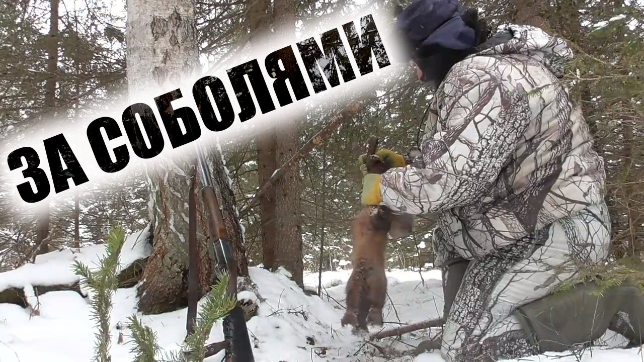 Один в тайгу на промысел Охота на соболя капканами смотреть онлайн