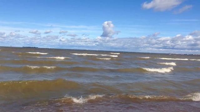 Финский залив,лето полным ходом! смотреть онлайн