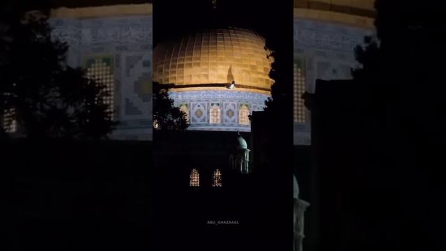 🇵🇸🇵🇸🇵🇸 Palestin 🦁🦁🦁🦁 смотреть онлайн