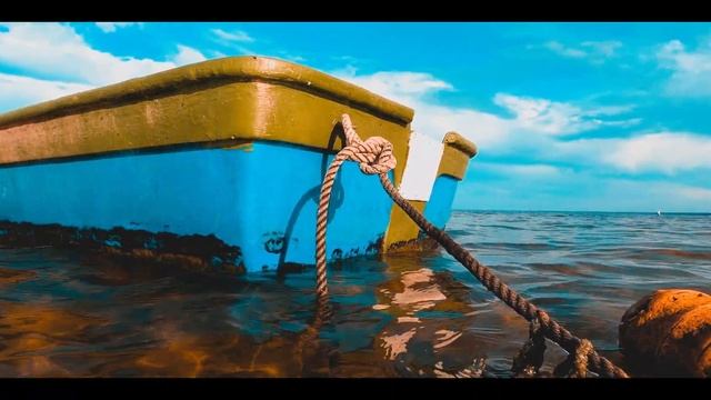 NATURE OF LATVIA/ПРИРОДА ЛАТВИИ - 4K - CINEMATIC VIDEO