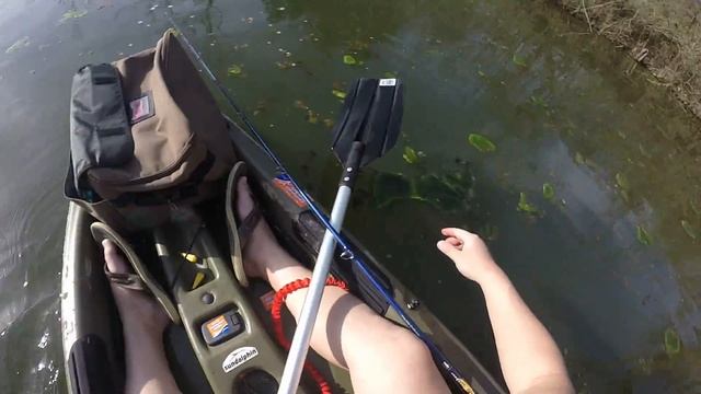 Kayak Bass Fishing Ohio смотреть онлайн