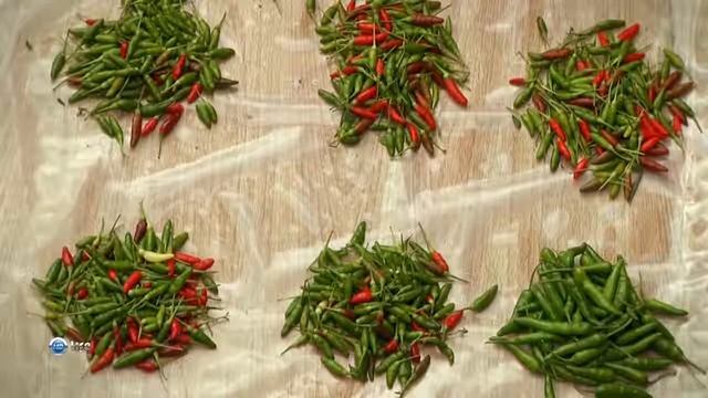 ИНТЕРЕСНЫЕ ФАКТЫ о Сейшельских островах! Маврикий. Конго. смотреть онлайн