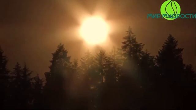 Наше царство внутри! Ошо Утренние Медитации смотреть онлайн