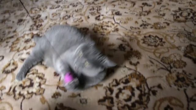 Slow motion with Panasonic HDC-SD900 смотреть онлайн
