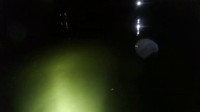 УСЛУГИ ВОДОЛАЗА С МЕТАЛЛОИСКАТЕЛЕМ. Коп в воде. Подводный поиск золотого кольца смотреть онлайн