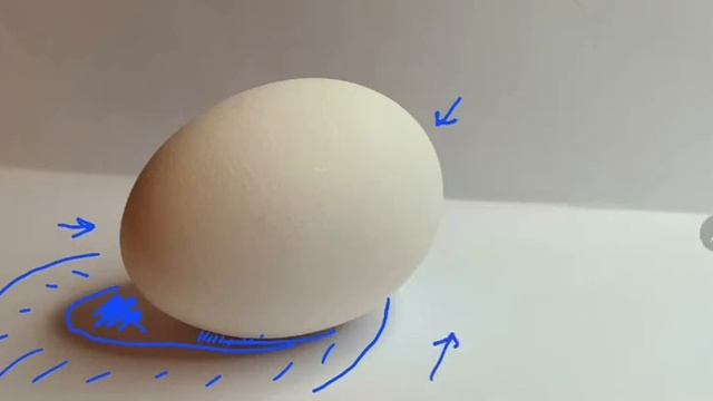 яичко (светотень, объем, рефлекс) всегда учись рисовать реальные предметы, а не пререрисовывай смотреть онлайн