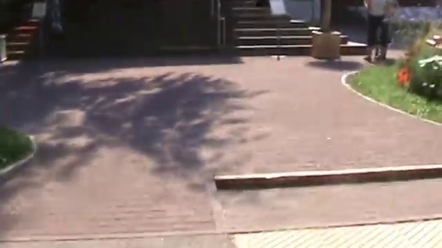 Деревянный дворец царя Алексея Михайловича в Коломенском.ф