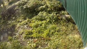 Самодельный корч из досок: делаю топовый салон