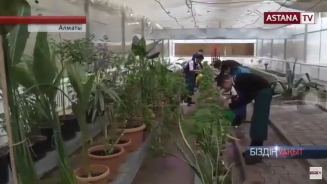 АКТИФ смотреть онлайн