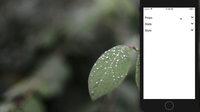 React Native ⚡️ Expandable FlatList Intro смотреть онлайн