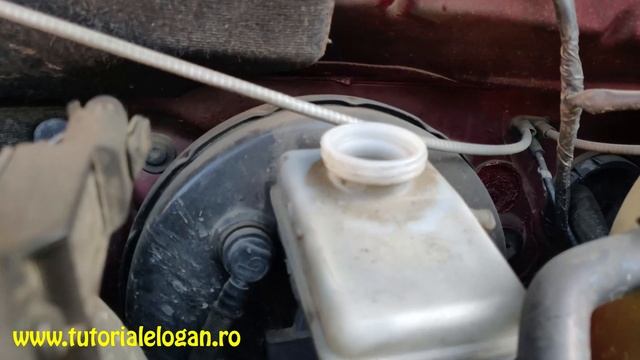 Completat Lichid De Frana La Logan