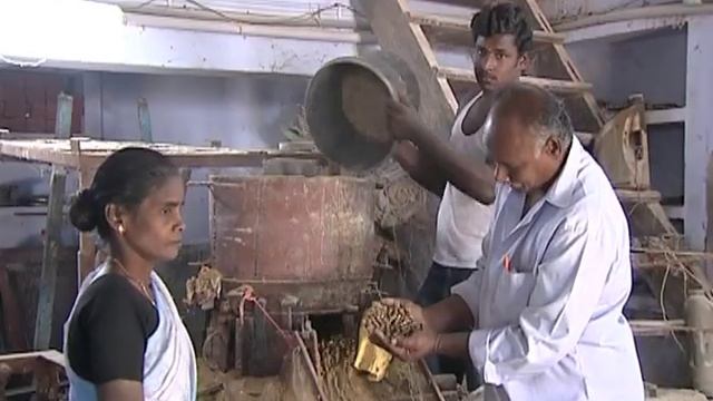 Backyard Azolla Cultivation Technology смотреть онлайн