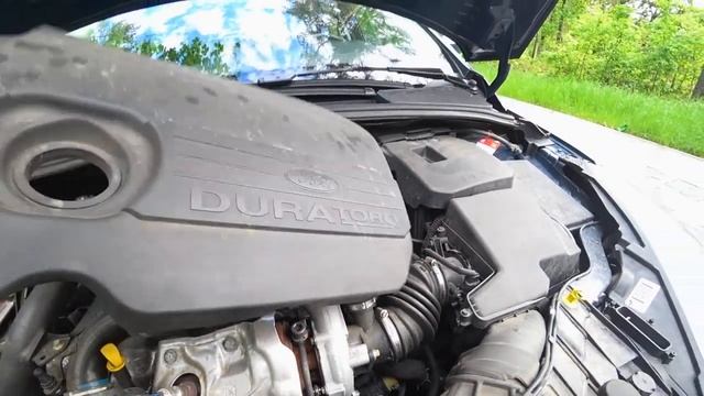 Ford Focus 1.5 tdci 2015 Хетчбэк на Продажу! смотреть онлайн