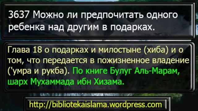 3637 Можно ли предпочитать одного ребенка над другим в подарках смотреть онлайн