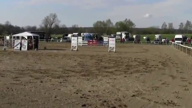Sporthorses4u.com - ARKO смотреть онлайн