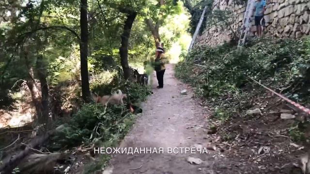 Солнечной тропой из Ялты к Ласточкиному гнезду смотреть онлайн