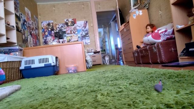 "Камера наблюдения". Часть 1. смотреть онлайн