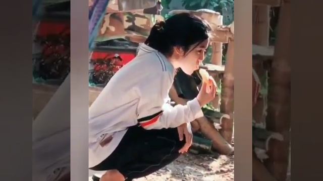 Kumpulan Tik Tok Terbaru 2021