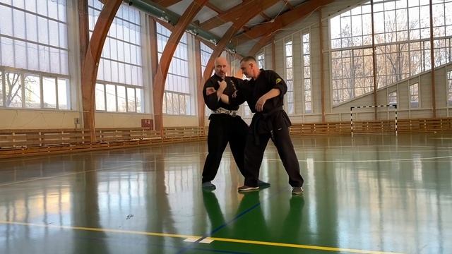 Фрагменты методических мастер-классов раздела "Тайдзюцу из арсенала старых школ". смотреть онлайн