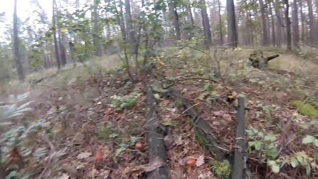 тихая охота смотреть онлайн