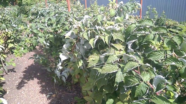 WP 20200906 10 27 00 Pro смотреть онлайн