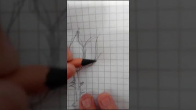 рисуем розу ?✍️ смотреть онлайн