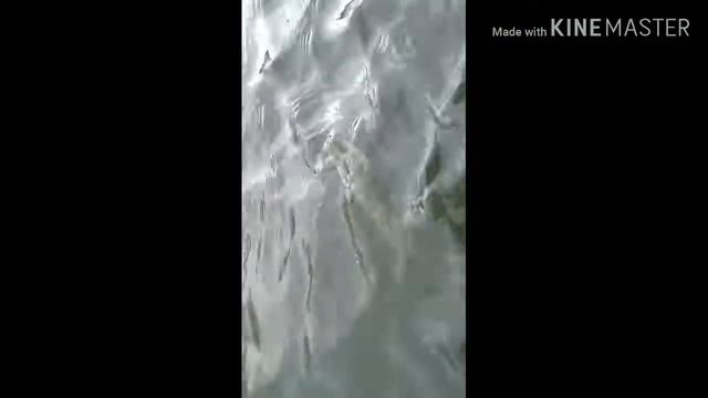 1.01.2019 г. Эсхар. Выезд зимой на щуку. Мегабас х-140 разловлен на первой же рыбалке смотреть онлайн