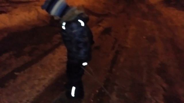 Вечерняя прогулка и мусоровоз
