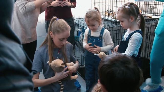 Экскурсия в ветеринарную клинику смотреть онлайн