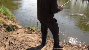 ЛОВЛЯ ГОЛАВЛЯ НА ЛАВАШ | Эффективная наживка на голавля