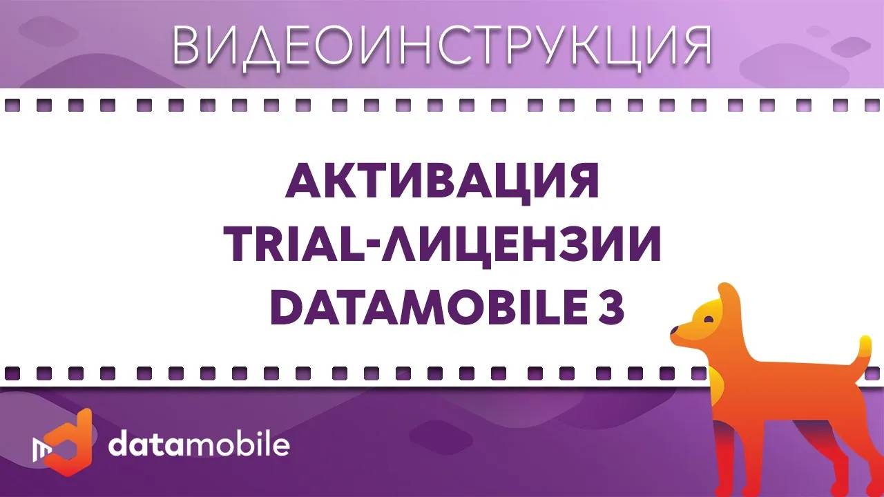 DataMobile 3: Активация trial-лицензии DataMobile 3 (для версий ниже 3.3.0) смотреть онлайн