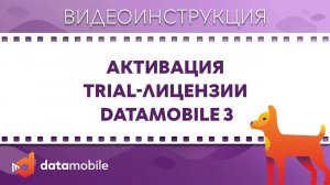 DataMobile 3: Активация trial-лицензии DataMobile 3 (для версий ниже 3.3.0)
