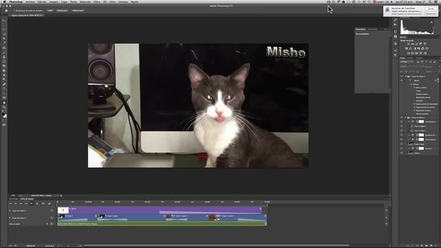 Tutorial Photoshop CS6 # 92 ¿Cómo usar la Velocidad, en clips y Ajustes. Exportando Video?. liclonn смотреть онлайн