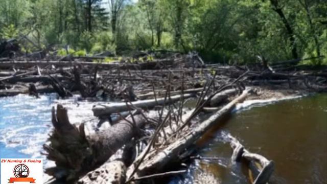 Summer memory. Воспоминание о лете смотреть онлайн